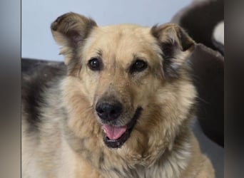 Alicia wartet sehnsüchtig auf ihre Menschen