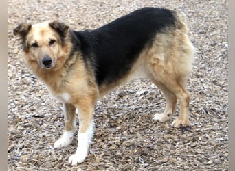 Alicia wartet sehnsüchtig auf ihre Menschen