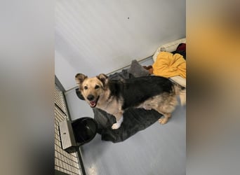 Alicia wartet sehnsüchtig auf ihre Menschen