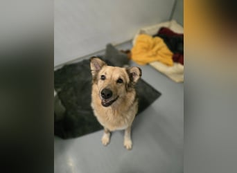 Alicia wartet sehnsüchtig auf ihre Menschen