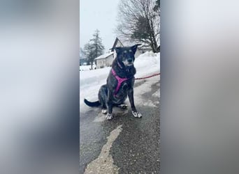 Paula ganz freundliche Seniorin