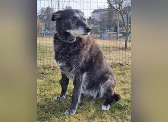 Paula ganz freundliche Seniorin