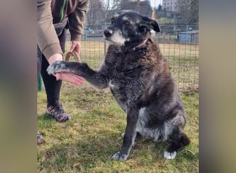 Paula ganz freundliche Seniorin