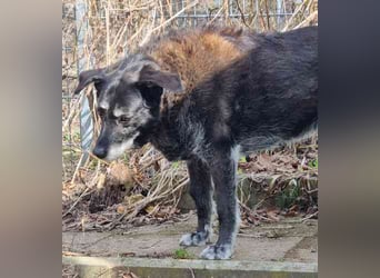 Paula ganz freundliche Seniorin