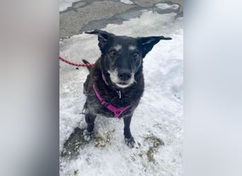 Paula ganz freundliche Seniorin