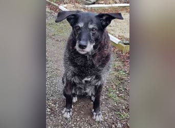 Paula ganz freundliche Seniorin