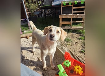 Rieke sucht ihre Menschen