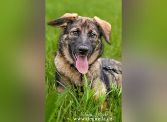 Rika sucht eine Familie