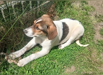 Ripley sucht eine Familie