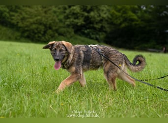 Rika sucht eine Familie