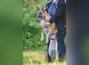 Janne würde so gerne endlich ankommen