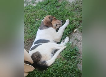 Ripley sucht eine Familie