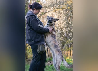 Janne würde so gerne endlich ankommen