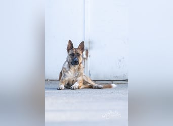 Janne würde so gerne endlich ankommen