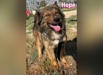 Hope, 05/24 - Die, die immer lacht!