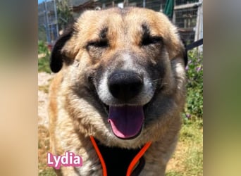 Lydia, 05/23 - gemütliche Schmusemaus sucht Familie
