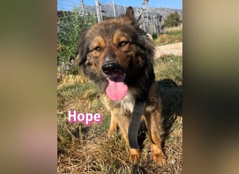Hope, 05/24 - Die, die immer lacht!