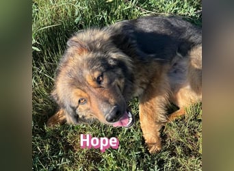 Hope, 05/24 - Die, die immer lacht!