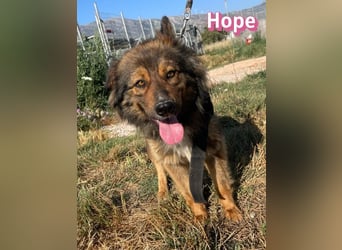 Hope, 05/24 - Die, die immer lacht!