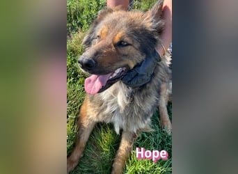 Hope, 05/24 - Die, die immer lacht!