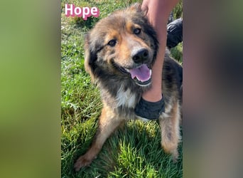 Hope, 05/24 - Die, die immer lacht!