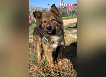 Hope, 05/24 - Die, die immer lacht!