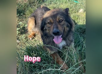 Hope, 05/24 - Die, die immer lacht!