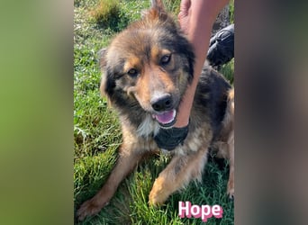 Hope, 05/24 - Die, die immer lacht!