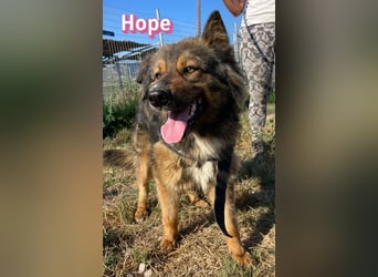 Hope, 05/24 - Die, die immer lacht!