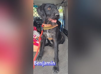 Benjamin - Verlorenes Herz sucht sein Glück