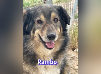 Rambo 01/22 - aktives Moppelchen sucht Diätpartner