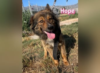 Hope, 05/24 - Die, die immer lacht!