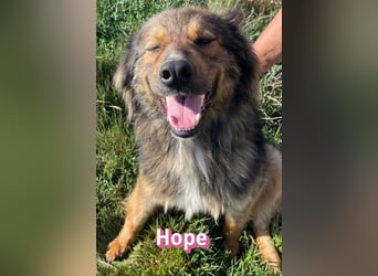 Hope, 05/24 - Die, die immer lacht!