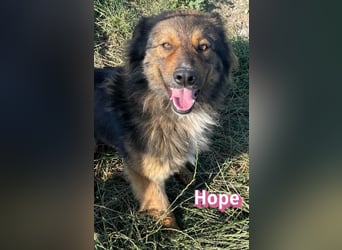 Hope, 05/24 - Die, die immer lacht!