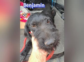 Benjamin - Verlorenes Herz sucht sein Glück