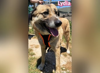 Lydia, 05/23 - gemütliche Schmusemaus sucht Familie