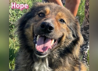 Hope, 05/24 - Die, die immer lacht!