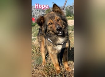 Hope, 05/24 - Die, die immer lacht!