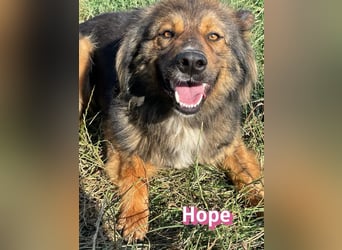 Hope, 05/24 - Die, die immer lacht!