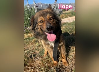 Hope, 05/24 - Die, die immer lacht!
