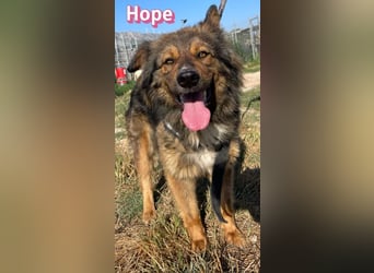 Hope, 05/24 - Die, die immer lacht!