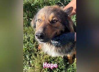 Hope, 05/24 - Die, die immer lacht!