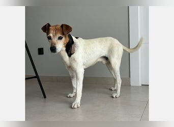 Max (LR) ein guter, ruhiger, edler Bube