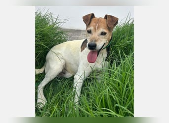 Max (LR) ein guter, ruhiger, edler Bube
