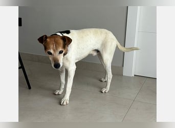 Max (LR) ein guter, ruhiger, edler Bube