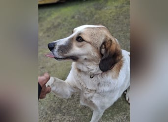 Rea Marie - bereit für Abenteuer