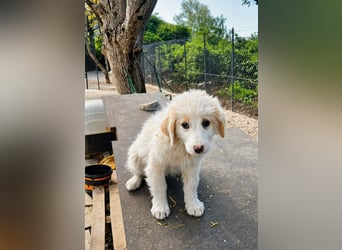 Emy ist bereit für ihr großes Abenteuer