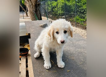 Emy ist bereit für ihr großes Abenteuer