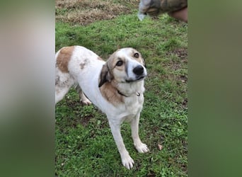 Rea Marie - bereit für Abenteuer