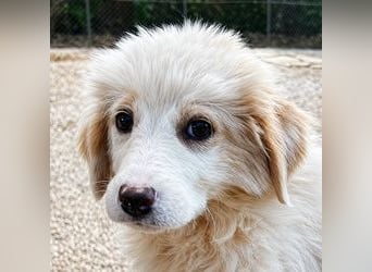 Emy ist bereit für ihr großes Abenteuer